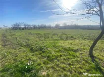 RECO teren extravilan 2148mp Episcopia