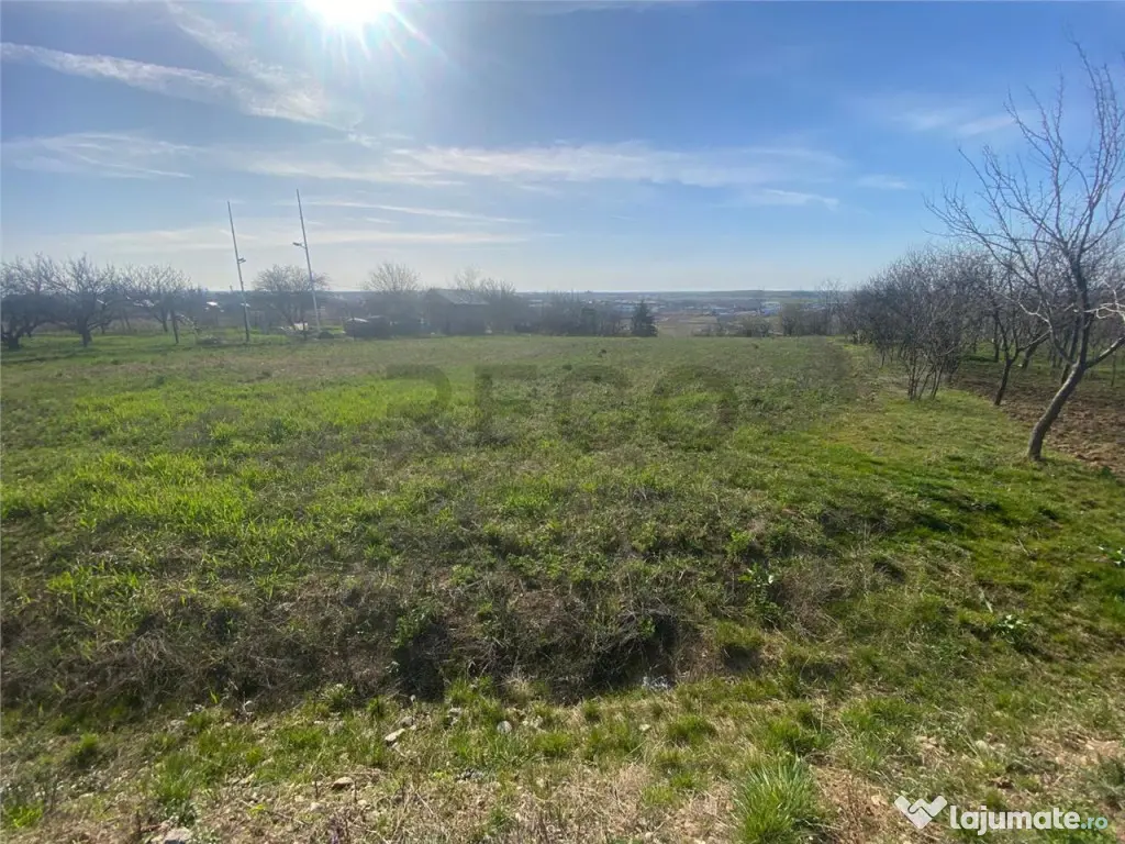 RECO teren extravilan 2148mp Episcopia