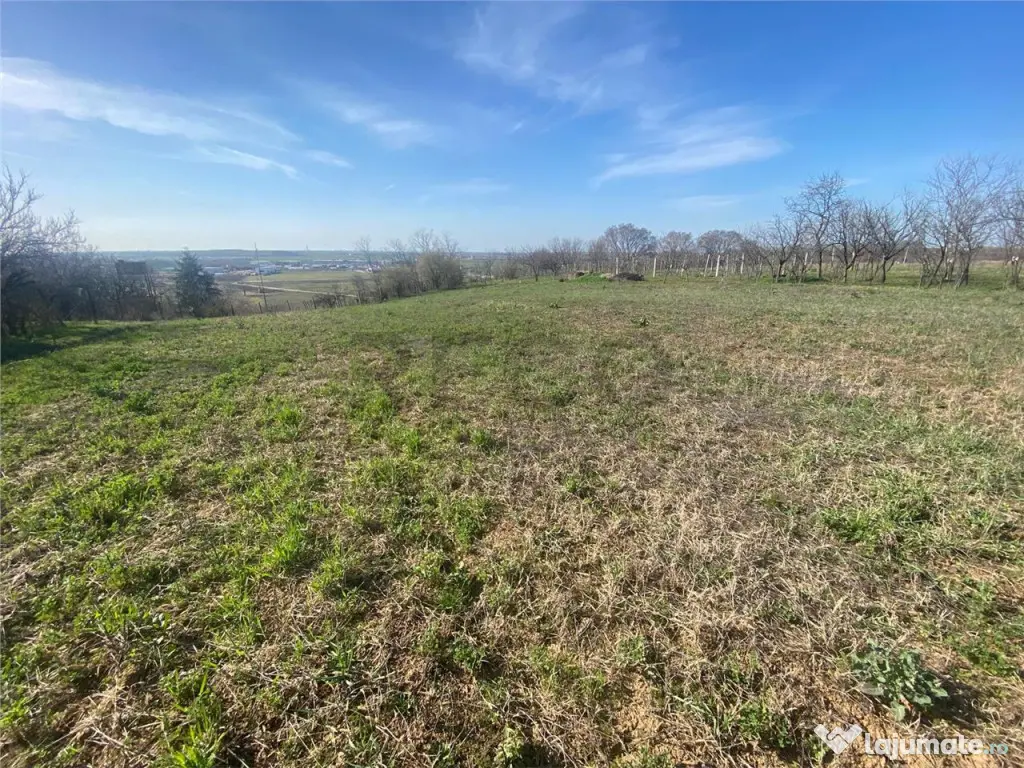 RECO teren extravilan 2148mp Episcopia