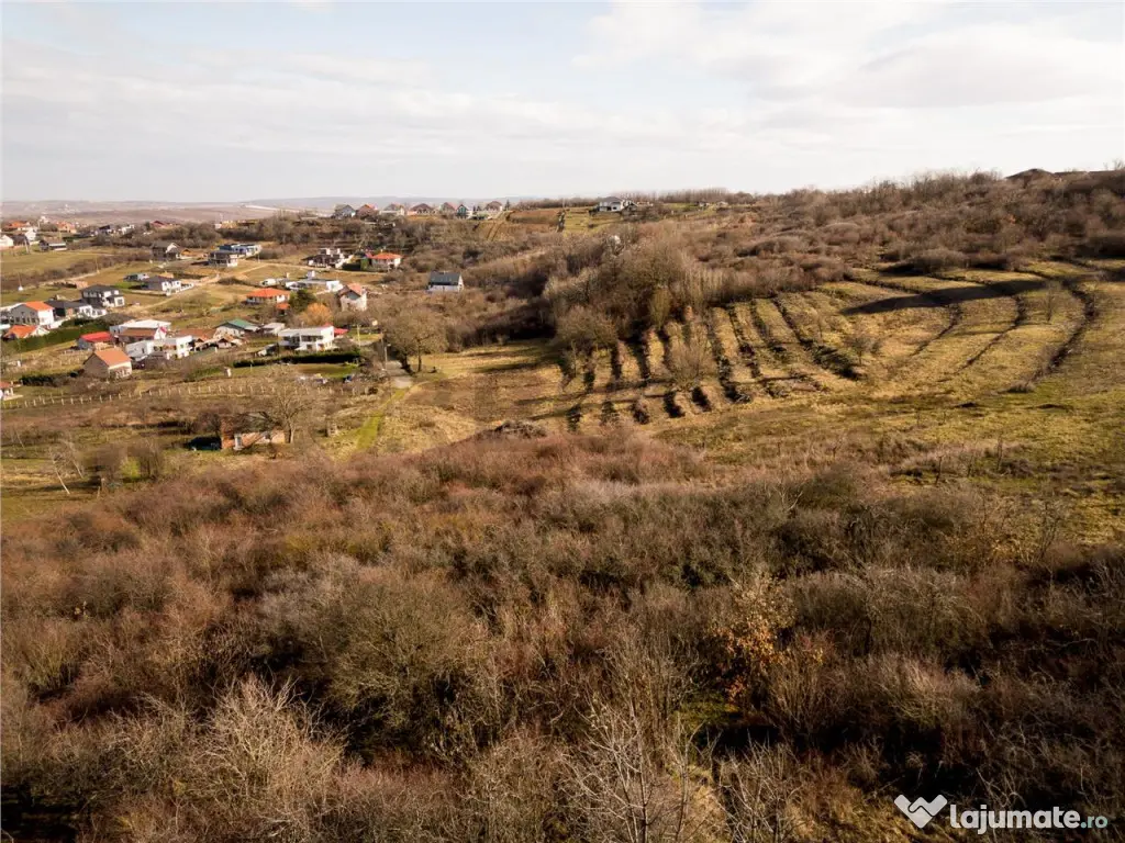 RECO Teren intravilan in zona Oncea