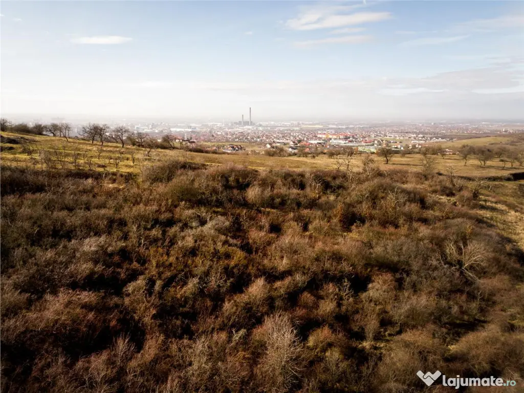 RECO Teren intravilan in zona Oncea