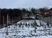 RECO teren intravilan Oradea