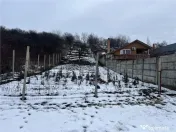 RECO teren intravilan Oradea 