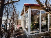 RECO . Casa in Cetariu cu teren generos 1600mp 