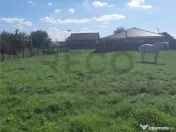 RECO Teren intravilan Marghita 