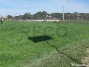 RECO Teren intravilan Marghita 