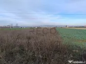 RECO Teren intravilan in Osorhei 5500mp dublu front 