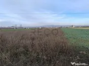 RECO Teren intravilan in Osorhei 5500mp dublu front 