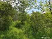 Teren extravilan Episcopia Bihorului 