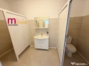 Spatiu comercial,str.Babadag,184 mp 