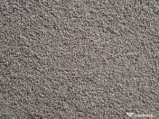 Vand grau de samanta productie 2025