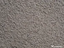 Vand grau de samanta productie 2025