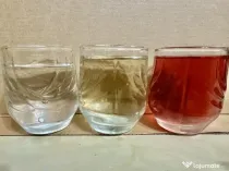 Prune si tuica de vanzare Salaj