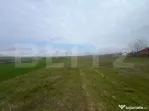 Teren intravilan de vanzare Simnicu de Sus