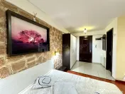 Garsoniera cocheta, Centrul vechi PET FRIENDLY 