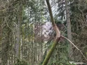 Etaj vilă istorică de vânzare în Sinaia – Zona Furnica 