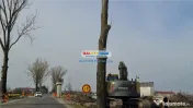 Teren 25000 mp la sosea Buftea Corbeanca utilitati zona Mixt