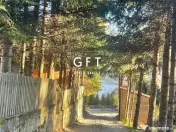 Teren intravilan 5 ari, Colibita, zona deosebita! 