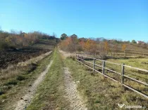 Vand teren intravilan 735mp