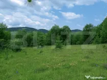 Teren intravilan de vânzare, 30.121 mp, Trâncești, Scări