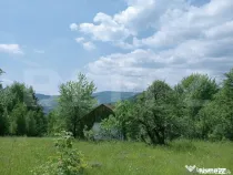 Teren intravilan de vânzare, 30.121 mp, Trâncești, Scări