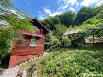 Casa de vacanta cu 4 camere, 1470 mp teren, Sugag