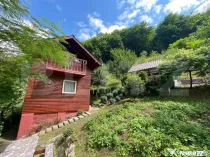 Casa de vacanta cu 4 camere, 1470 mp teren, Sugag