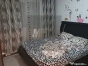 Apartament 3 camere semidecomandat 