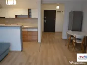 Ap. Nou 1 Camera si Parcare Privata de Inchiriat Green Resid 