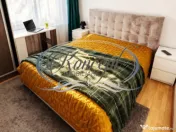 Apartament luminos si renovat in apropiere promenada Grigore 