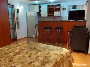 Garsoniera Sebastian 