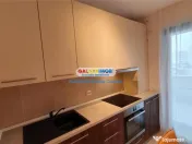 Apartament 2 camere etaj 5 Baneasa Greenfield Salcamilor 