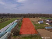 NUCI - BALTA NEAGRA, LOT 3900 MP, LA PADURE! 