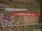 NUCI - BALTA NEAGRA, LOT 3900 MP, LA PADURE! 