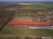 NUCI - BALTA NEAGRA, LOT 3900 MP, LA PADURE! 