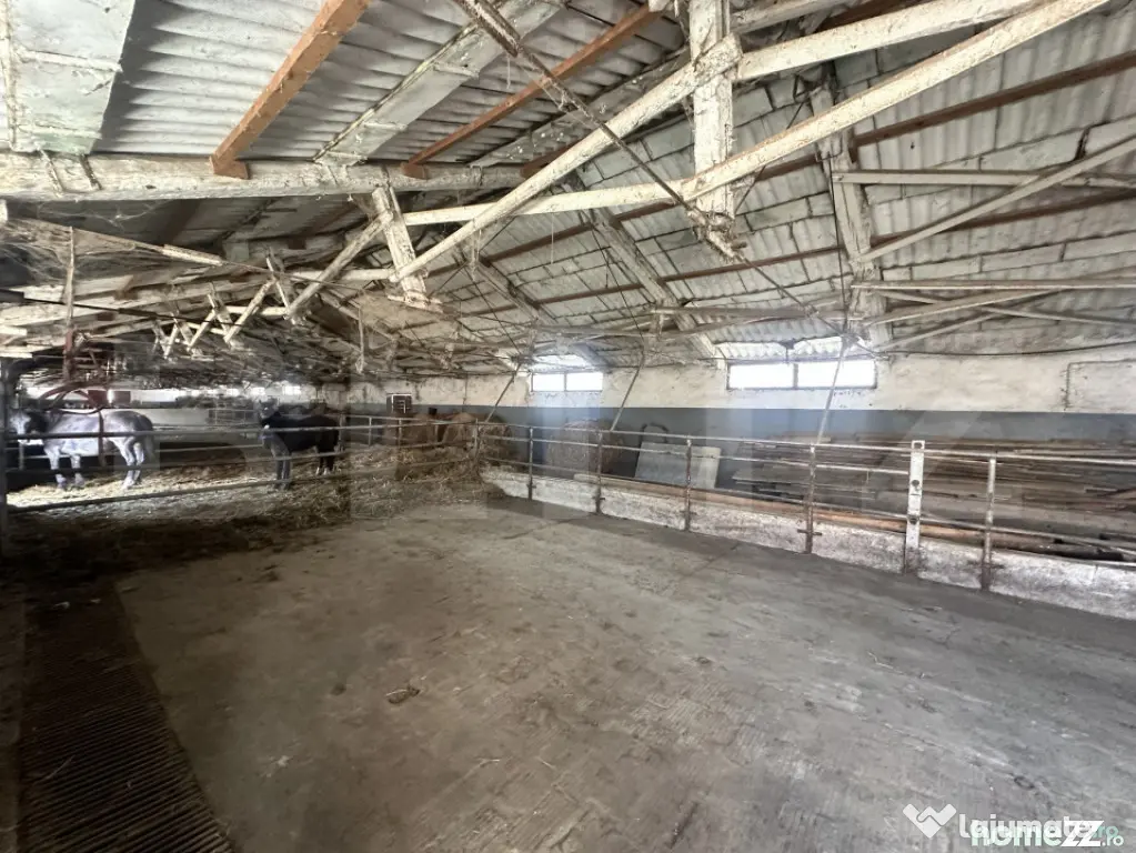Parc industrial Bârsãu (HALE-BIROURI-APARTAMENT DE LOCUIT-