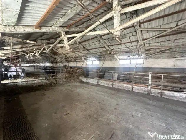 Parc industrial Bârsãu (HALE-BIROURI-APARTAMENT DE LOCUIT-