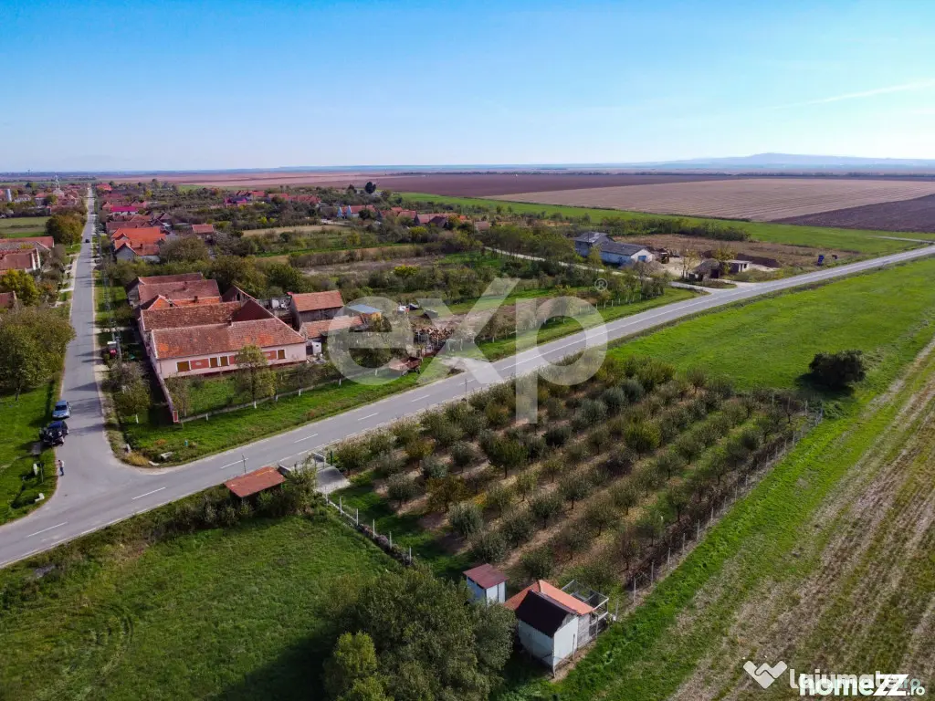 Teren cu livadă de vânzare – Sârbova, poziție excelent