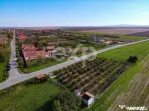Teren cu livadă de vânzare – Sârbova, poziție excelent