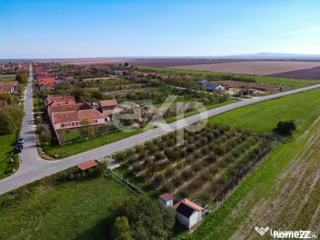 Teren cu livadă de vânzare – Sârbova, poziție excelent