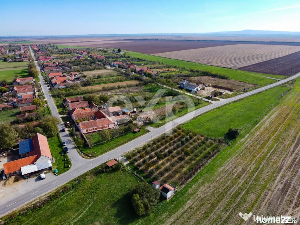 Teren cu livadă de vânzare – Sârbova, poziție excelent