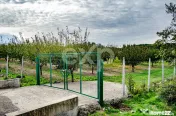 Teren cu livadă de vânzare – Sârbova, poziție excelent