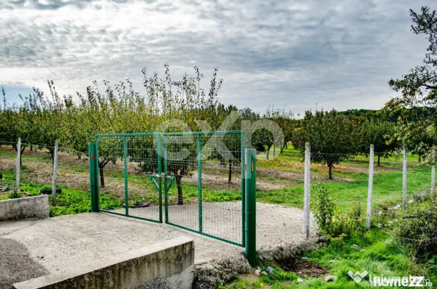 Teren cu livadă de vânzare – Sârbova, poziție excelent