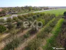 Teren cu livadă de vânzare – Sârbova, poziție excelent