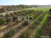Teren cu livadă de vânzare – Sârbova, poziție excelent