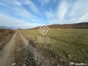 Teren de vanzare extravilan 1000mp - Aerodrom 