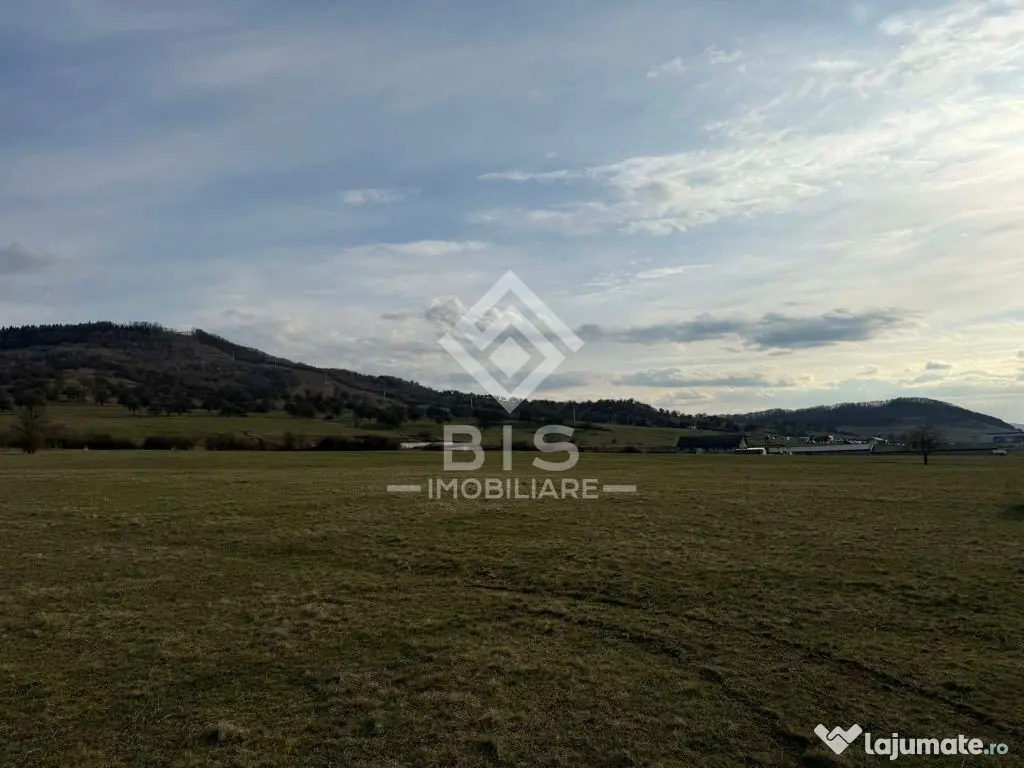 Teren de vanzare extravilan 1000mp - Aerodrom