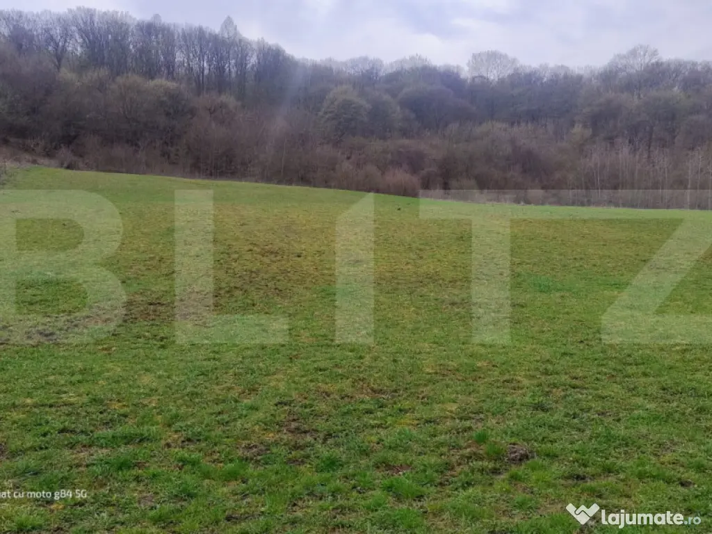 Teren superb 2.500 mp în Nicula – liniște, natură și p