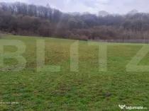 Teren superb 2.500 mp în Nicula – liniște, natură și p