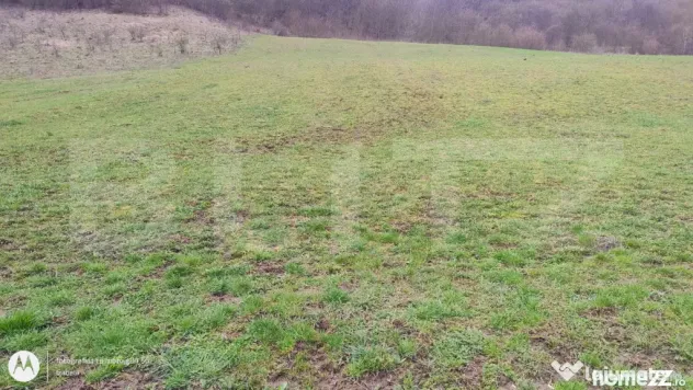 Teren superb 2.500 mp în Nicula – liniște, natură și p
